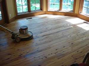 %_tempFileNameAustralian%20Cypress%